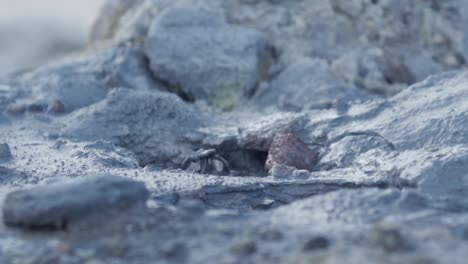 Boiling-mud-pot-in-Iceland--in-slow-motion